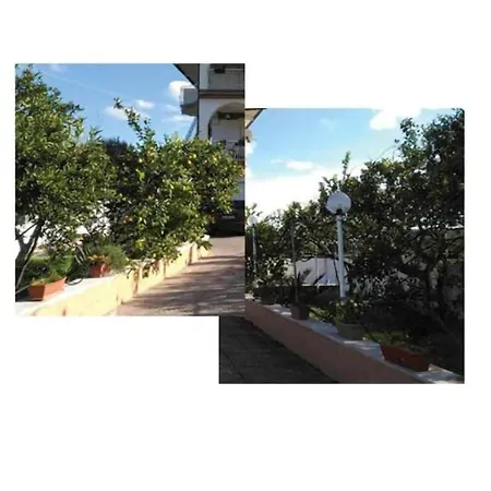 Apartmán Nido